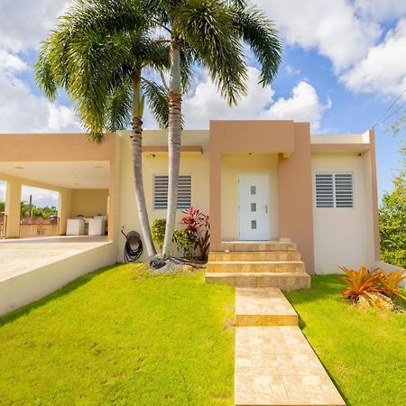 Arenales Vacational House Villa Isabela Bagian luar foto